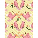 All Wrapped Up | Notecards | Australia by Alice Oehr | Set of 16